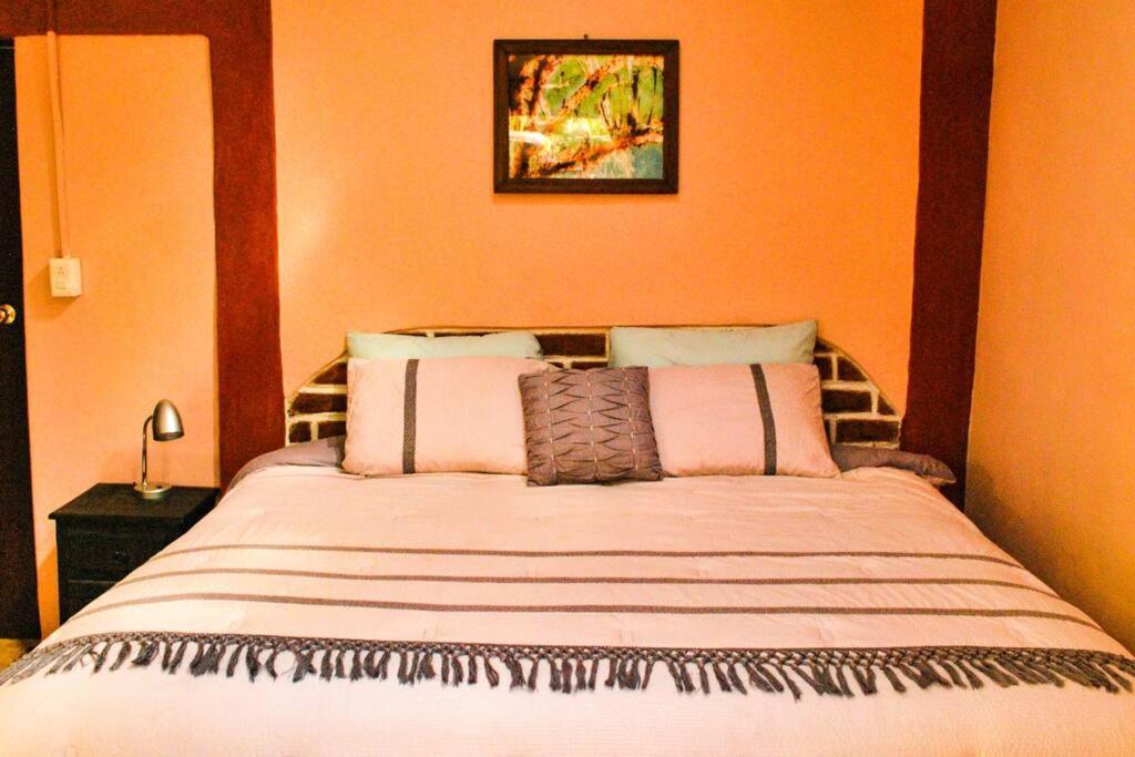 Hostal Casa 4 Estaciones, Coliving & Nature San Cristobal de las Casas Exterior photo