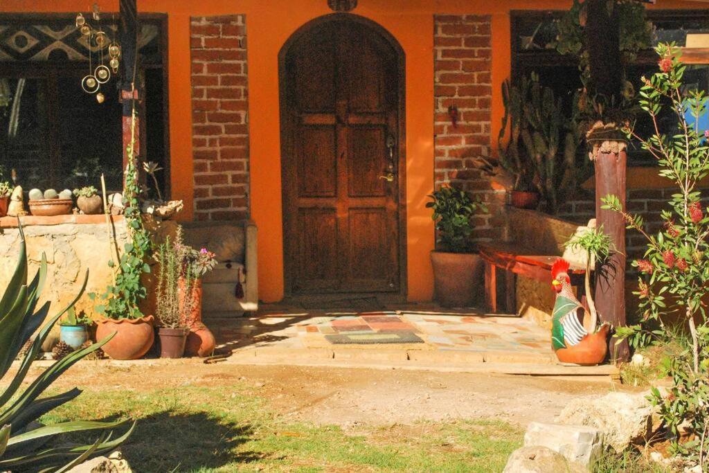 Hostal Casa 4 Estaciones, Coliving & Nature San Cristobal de las Casas Exterior photo