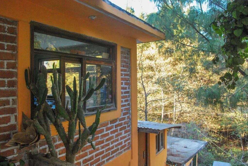 Hostal Casa 4 Estaciones, Coliving & Nature San Cristobal de las Casas Exterior photo