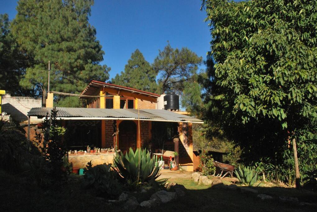 Hostal Casa 4 Estaciones, Coliving & Nature San Cristobal de las Casas Exterior photo