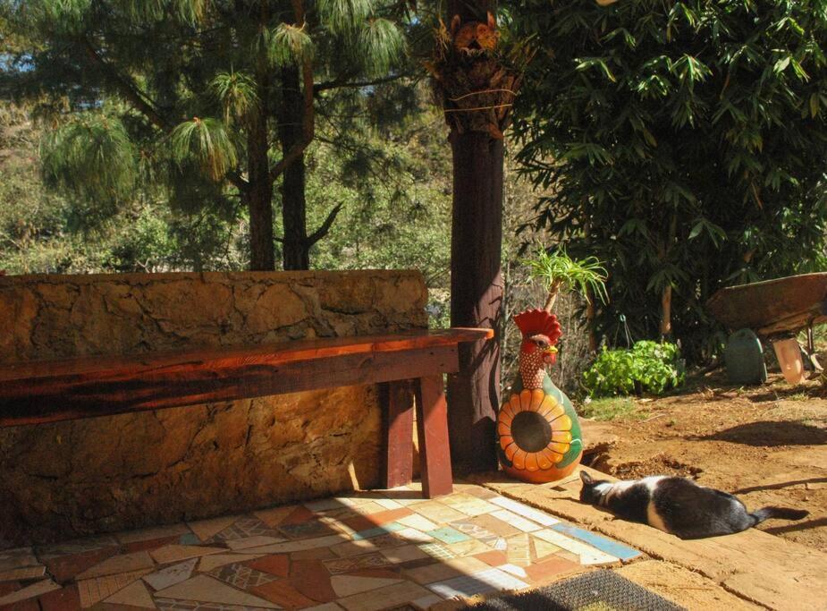 Hostal Casa 4 Estaciones, Coliving & Nature San Cristobal de las Casas Exterior photo