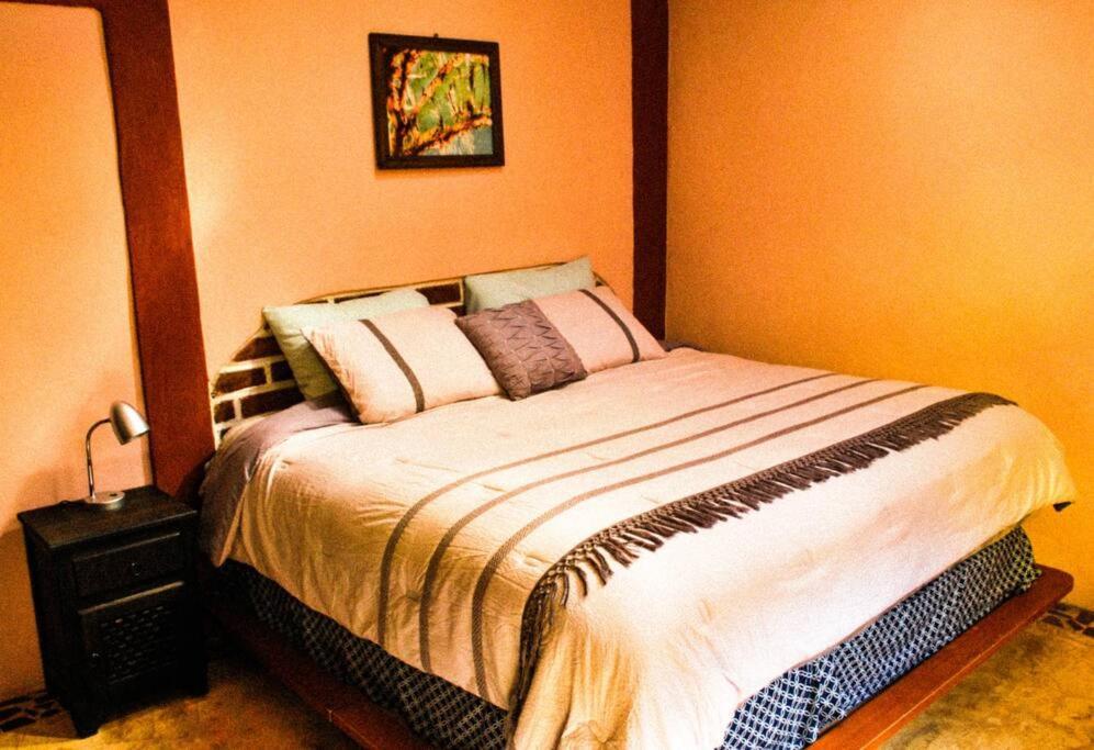 Hostal Casa 4 Estaciones, Coliving & Nature San Cristobal de las Casas Exterior photo